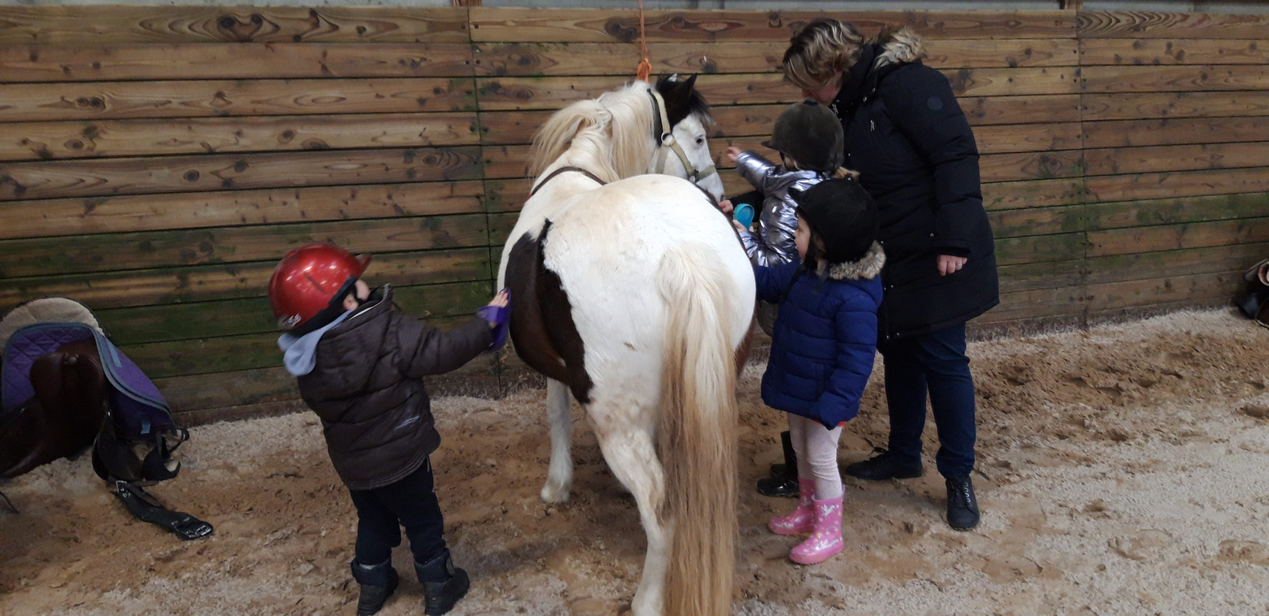 Cycle de poney de la classe de maternelle-CP