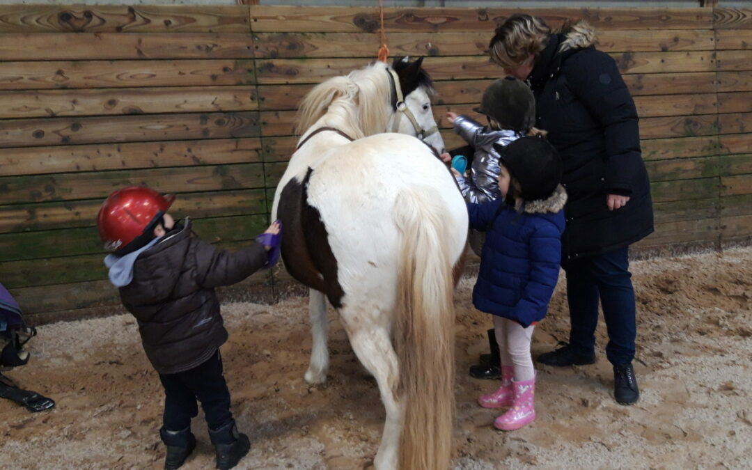 Cycle de poney de la classe de maternelle-CP