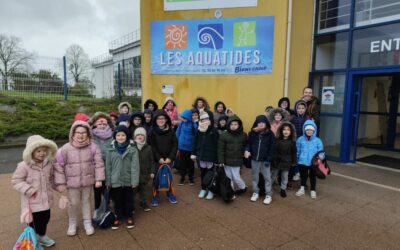 Cycle natation 🏊♂️